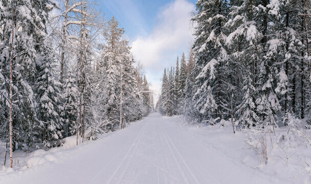 Beautiful natural environment with road for traveling, scenic picture of winter season forest with frost and snow.