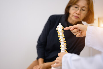 Aging and back pain concept: Female orthopedic doctor shows her senior patient a prolapsed disk in...