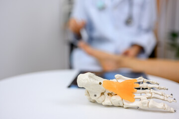 Focus picture of a foot bone model being shown to a patient by an orthopedic surgeon or therapist....