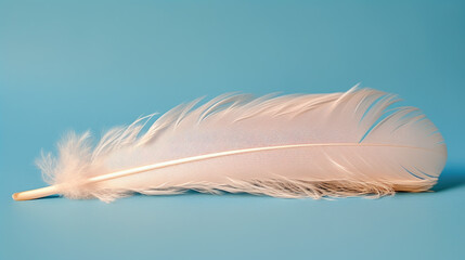 Obraz premium Cream Color Feather on Blue Background - Generative AI