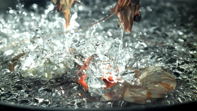 Shrimp splashes fall into the water. Filmed on a high-speed camera at 1000 fps. High quality FullHD footage