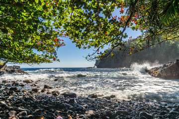 lonely beach in jungle on the pacific coast on big island in hawaii