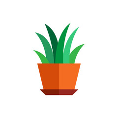 Home Plant in a Pot Vector Artwork on white background