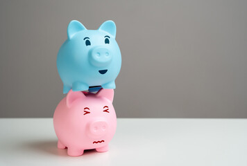 The blue piggy bank financially exploits the pink one. The concept of an unhealthy relationship...