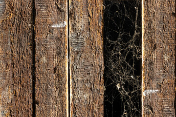 Old battens with cobwebs in the gap