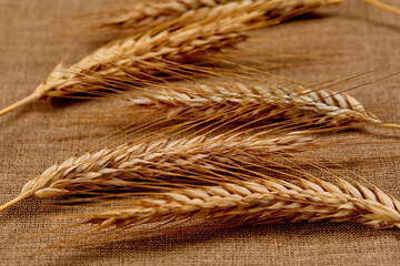 wheat ears on the table