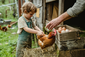 Children bring eggs from the hen's nest in the henhouse and hand them into their father's hand in a country house in the yard.