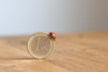 Euro coin with ladybug symbolizing the concept of cash, luck, win, money