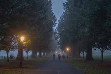Silhouette of blurred people that walks in thick fog, on road surrounded by trees and illuminated...