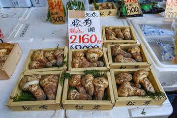 Matsutake mushrooms displayed at Tsukiji Market in Tokyo, Japan. October 27, 2023