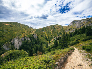 Fototapeta na wymiar Path going in a beautiful valley in Transylvanian mountains