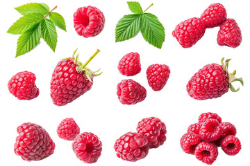 Collection or set of various fresh ripe raspberries