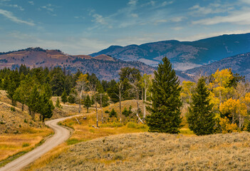 Fototapeta na wymiar A fall landscape of a narrow road running through the valleys of Yellowstone National Park. Evergreens and yellow aspens contrast with the brown grass. The hills and mountains are in the distance. 