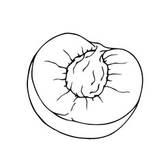 Linear sketch, outline of halves of fruit peach, nectarine.Vector graphics.