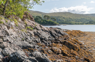 The coastline of Sea Loch Sunart at Low Tide in the Highlands
