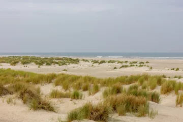 Rideaux occultants Mer du Nord, Pays-Bas White sand beach at north sea coast, European marram grass (beach grass) on the dune, Ammophila arenaria is a species of grass in the family Poaceae, Dutch Wadden Sea island, Terschelling, Netherlands