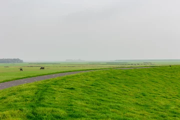 Zelfklevend Fotobehang Noordzee, Nederland Bicycle lane and walkway, Green grass meadow on the dyke under cloudy sky, Dike between polder land and north sea with fog or mist in the morning, Dutch Wadden Sea island, Terschelling, Netherlands.