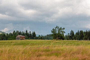 Summer rural landscape with wooden barn, green meadow, coniferous forests and stormy sky in the background, Rhodope Mountains, Bulgaria.