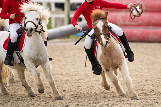 Children on horses playing horseball