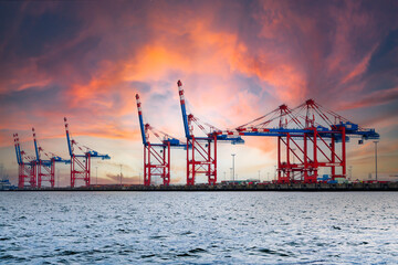 Cranes awaiting loading at the international terminal of a logistics seaport. Freight transport...