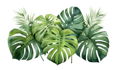 Stof per meter Monstera watercolor vector Set of tropical leaves. Variety. Ornamental plants. Banana leaves. Transparent background