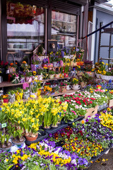 Fototapeta na wymiar Flower shop. Flower market. Flower arrangements. Flower business