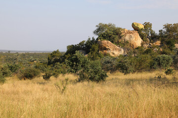 Krüger Park - Afrikanischer Busch - Inselberg / Kruger Park - African bush - Koppie /