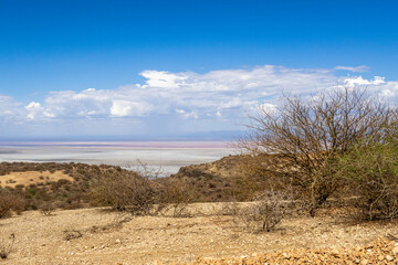 Lake Natron, the largest lake in the East African Rift Valley in Tanzania and to a small extent in Kenya, known for its pink flamingos