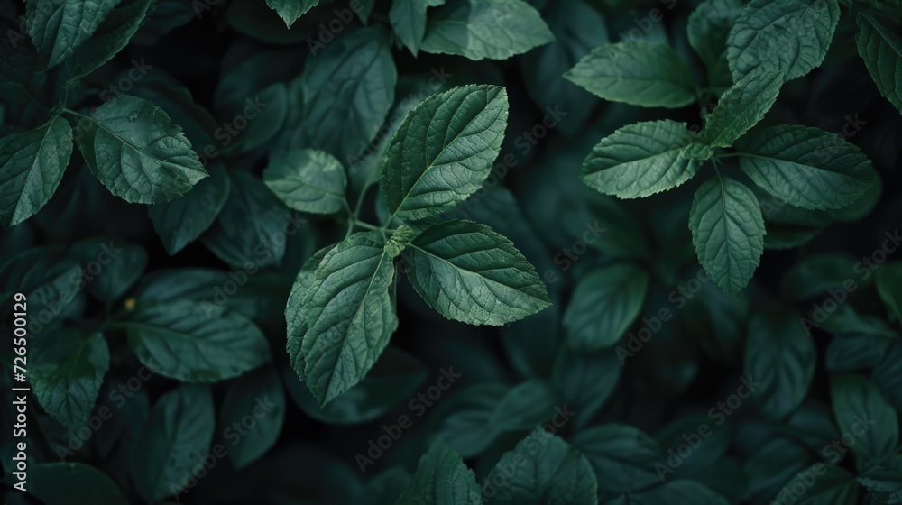 Poster a close-up view of vibrant green leaves on a plant. suitable for various nature-related projects