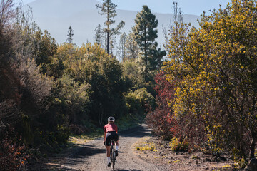 Obraz premium A female cyclist is riding along a scenic mountain gravel route in a forest on Tenerife Island. Cyclist is practicing on gravel road. Beautiful sunny day for cycling. Spain.