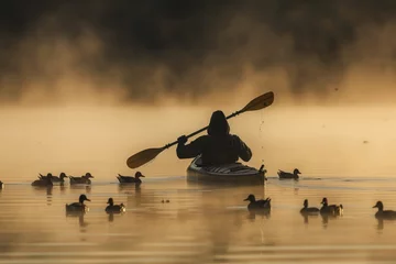Foto op Canvas person paddling past ducks on a misty lake at dawn © primopiano