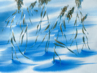 Dry grass in winter on snow shadows watercolor background - 726507598