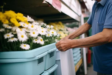 Poster person selecting the freshest daisies from a floral cooler © primopiano