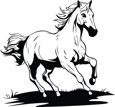 Black and white vector illustration of a horse galloping in the field