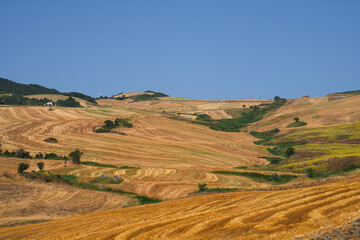 Obraz premium Country landscape near Rocchetta Sant Antonio, Apulia, Italy