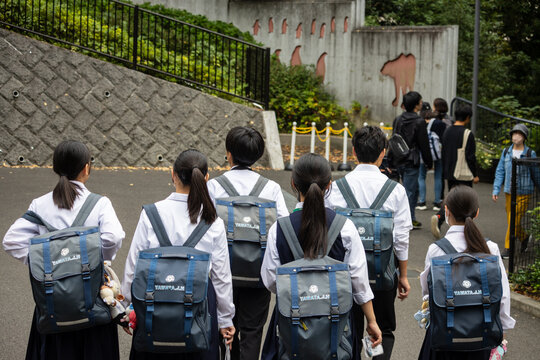 Tokyo, Japan, 31 October 2023: Group of students with backpacks walking to school.