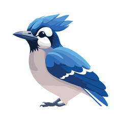 Blue jay bird isolated on white background. Vector cartoon illustration.