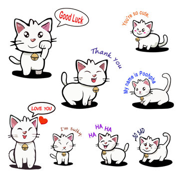 Phupha is a white cat who is cute beyond description.