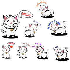 Phupha is a white cat who is cute beyond description.