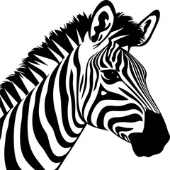 Fototapeta na wymiar Trendy zebra skin pattern background vector. Black and White Line Wave Abstract Background.