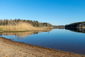 sunny spring landscape with calm lake, first green of spring in trees and grass