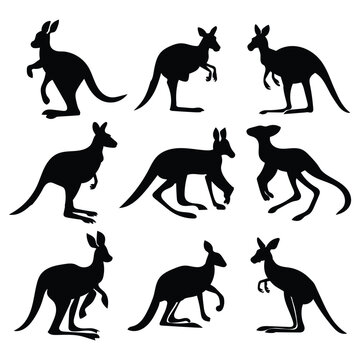 vector kangaroo  icon black silhouette collection