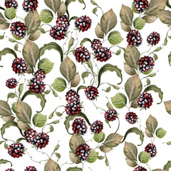 Watercolor seamless pattern of blackberries with green leaves. Illustration - 726541798