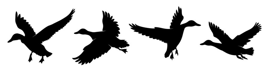 silhouette of a duck