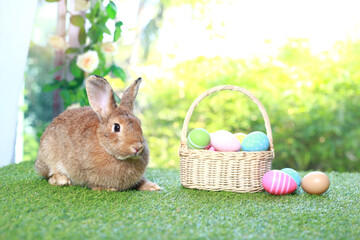 Cute fluffy brown rabbit with long ears with colorful easter eggs basket in spring flower garden, bunny animal on green grass with easter egg. Happy easter holiday festival, Spring celebration.