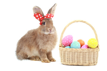Cute fluffy brown rabbit with long ears wearing red bow and colorful easter eggs basket on white background, bunny animal with easter egg, symbol of happy easter holiday festival. Spring celebration.