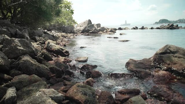 Detail of rocks and animals in the water at Morcego beach in Niter&oacute;i, Guanabara Bay, with crystal clear waters.