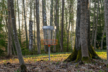 a disc golf hole on green grass with birch grove in background, disc golf basket in a park