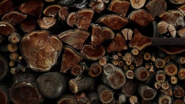 Cross section of round cut logs of various sizes. Rings texture of old tree. Wall of cut brown logs with bark, cracks and texture of tree rings. Cut tree trunk. Firewood, stumps, lumber. Wooden