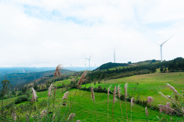 wind turbines in the mountains